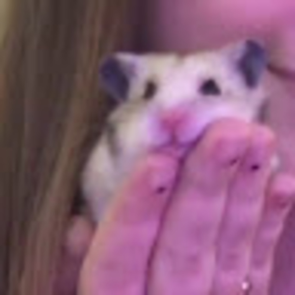 Meet your Posher, Annaka